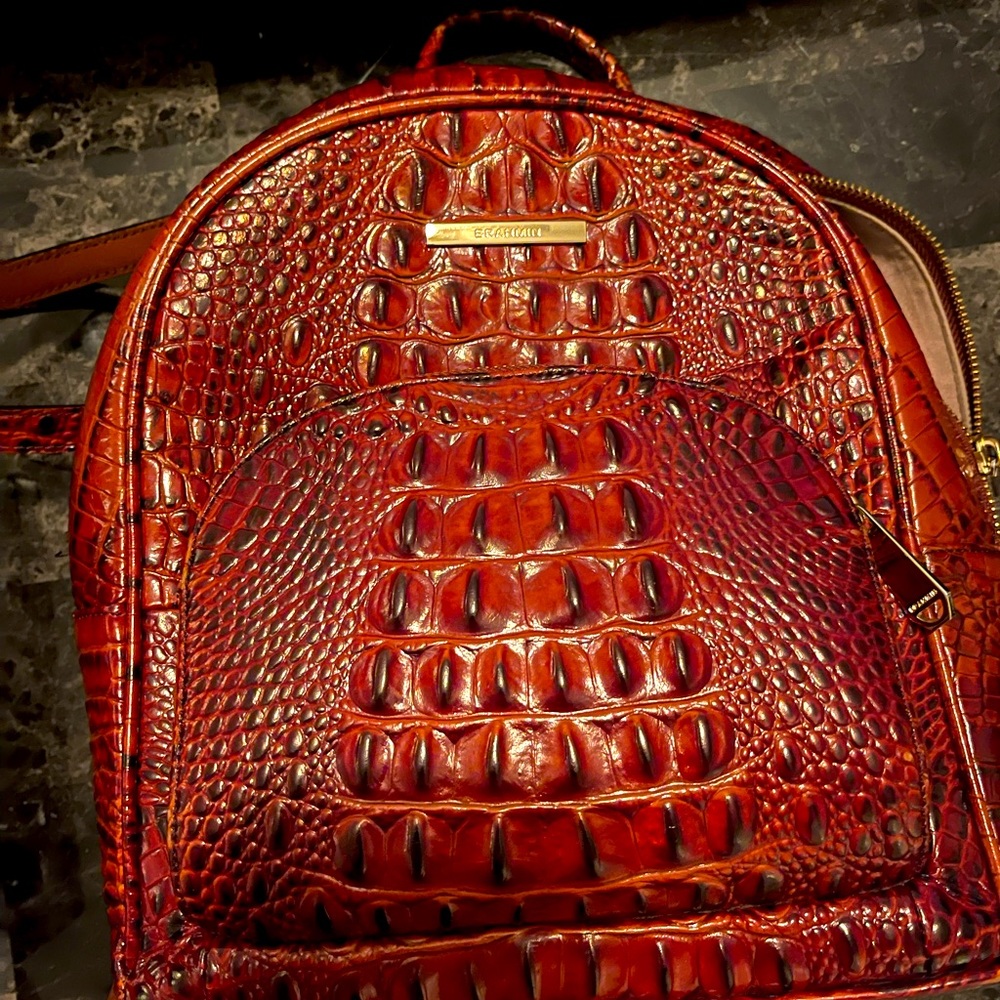 Authentic Brahmin Mini Dartmouth Backpack